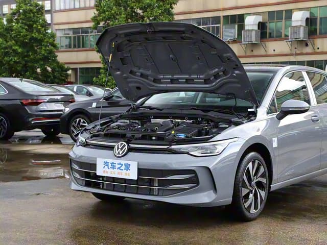 Volkswagen Golf 300TSI — миниатюра 18